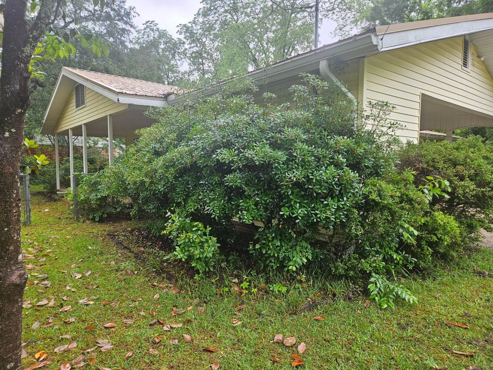 All Photos for Yard Recovery Services in Byron, GA