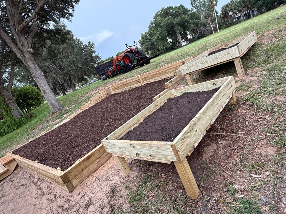 All Photos for Amerigrown Tree And Lawn in Apopka, FL