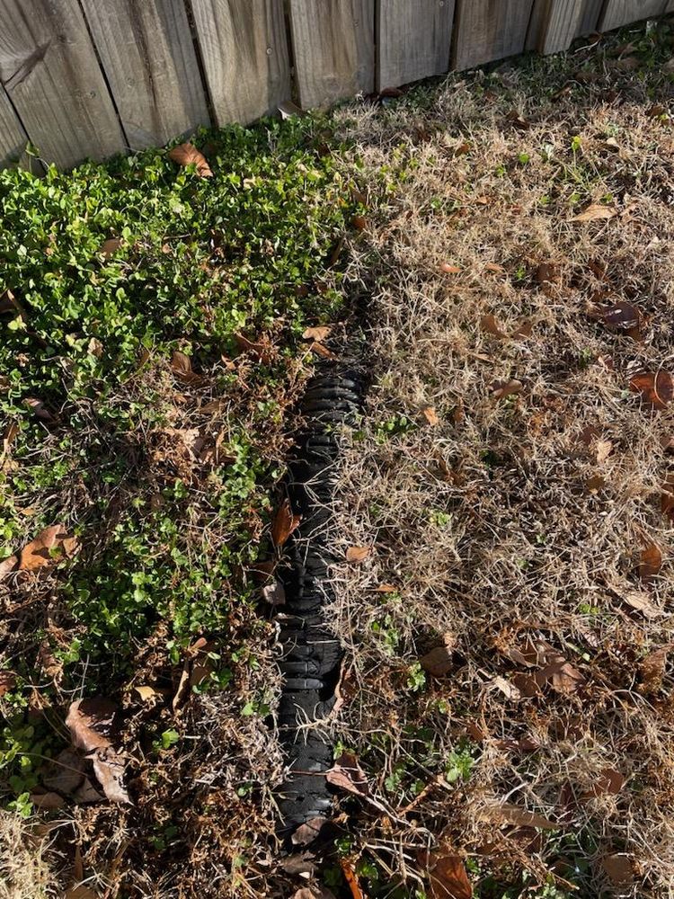 All Photos for Drain My lawn in Charlotte, NC