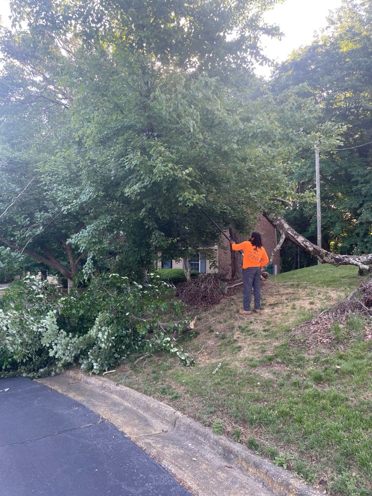 Tree Removal for Ace Tree Service  in Fuquay-Varina, NC
