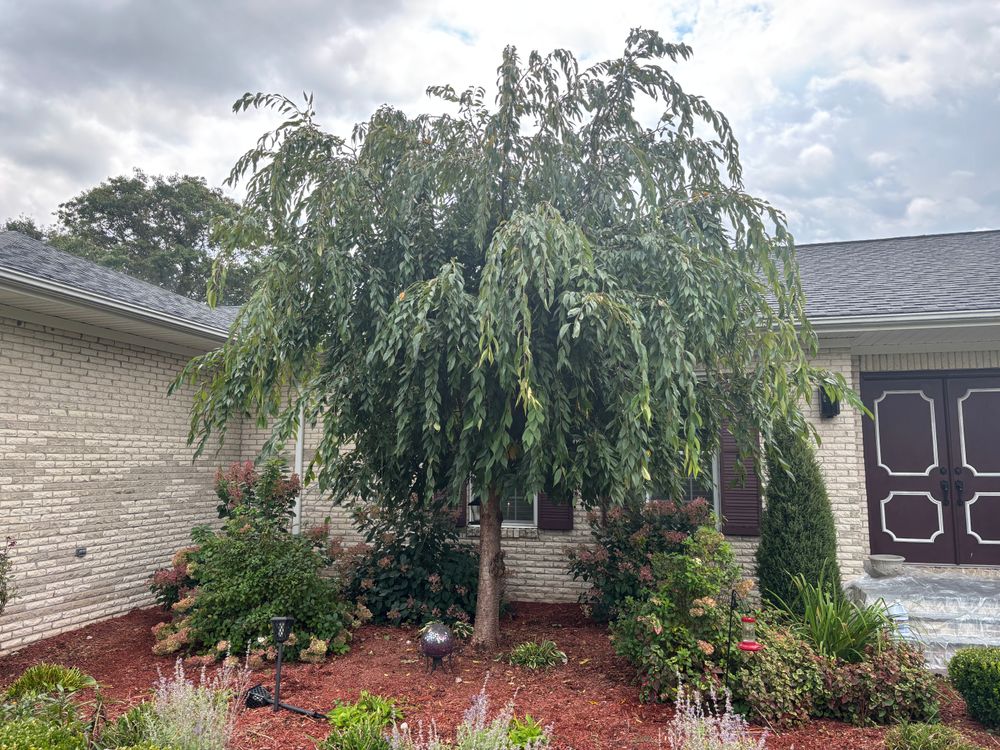 All Photos for Personal Touch General Contractor in Galax, VA