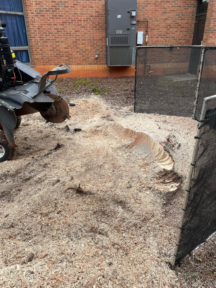 All Photos for ArborMax in Thomaston, GA