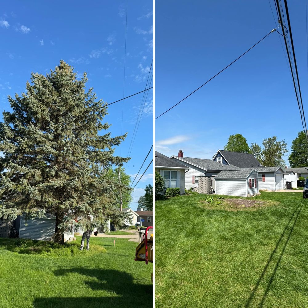 Other Services for Branching Out Tree Service in Hastings, MI