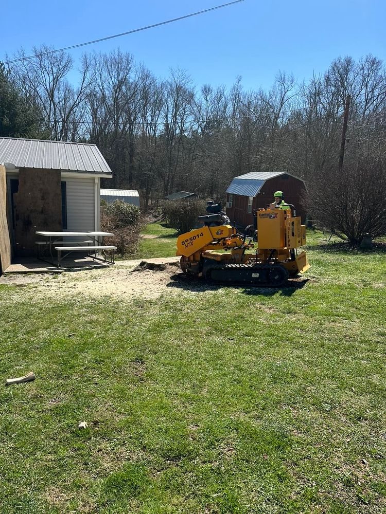 Our Stump Removal service efficiently eliminates unsightly stumps, enhancing your landscape’s beauty and safety. Trust our experts to carefully remove stumps, preventing regrowth and making way for new possibilities in your yard. for Complete Care in Cumberland Gap, TN