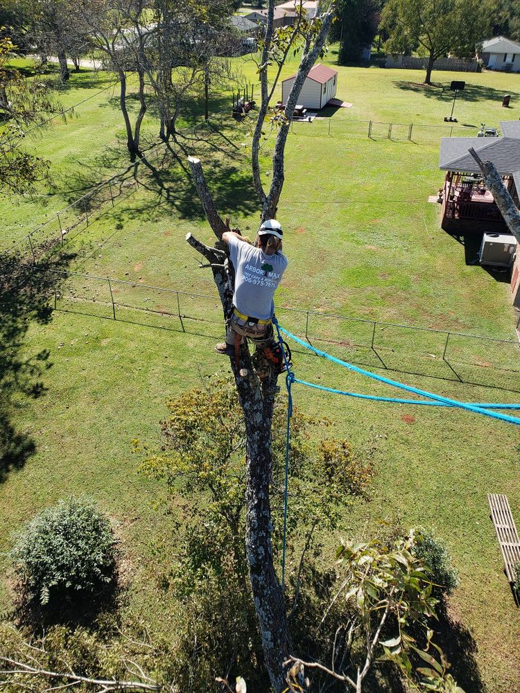 All Photos for ArborMax in Thomaston, GA