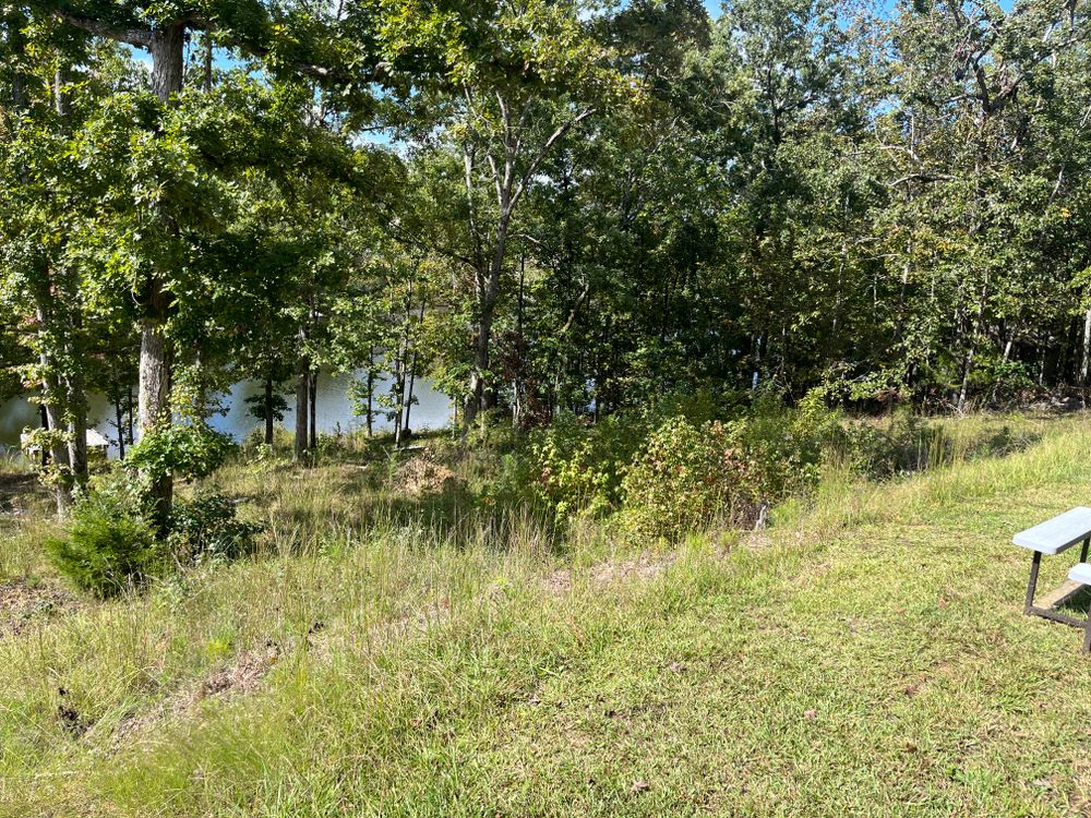 All Photos for Lakeside Lawncare in Cross Hill, SC