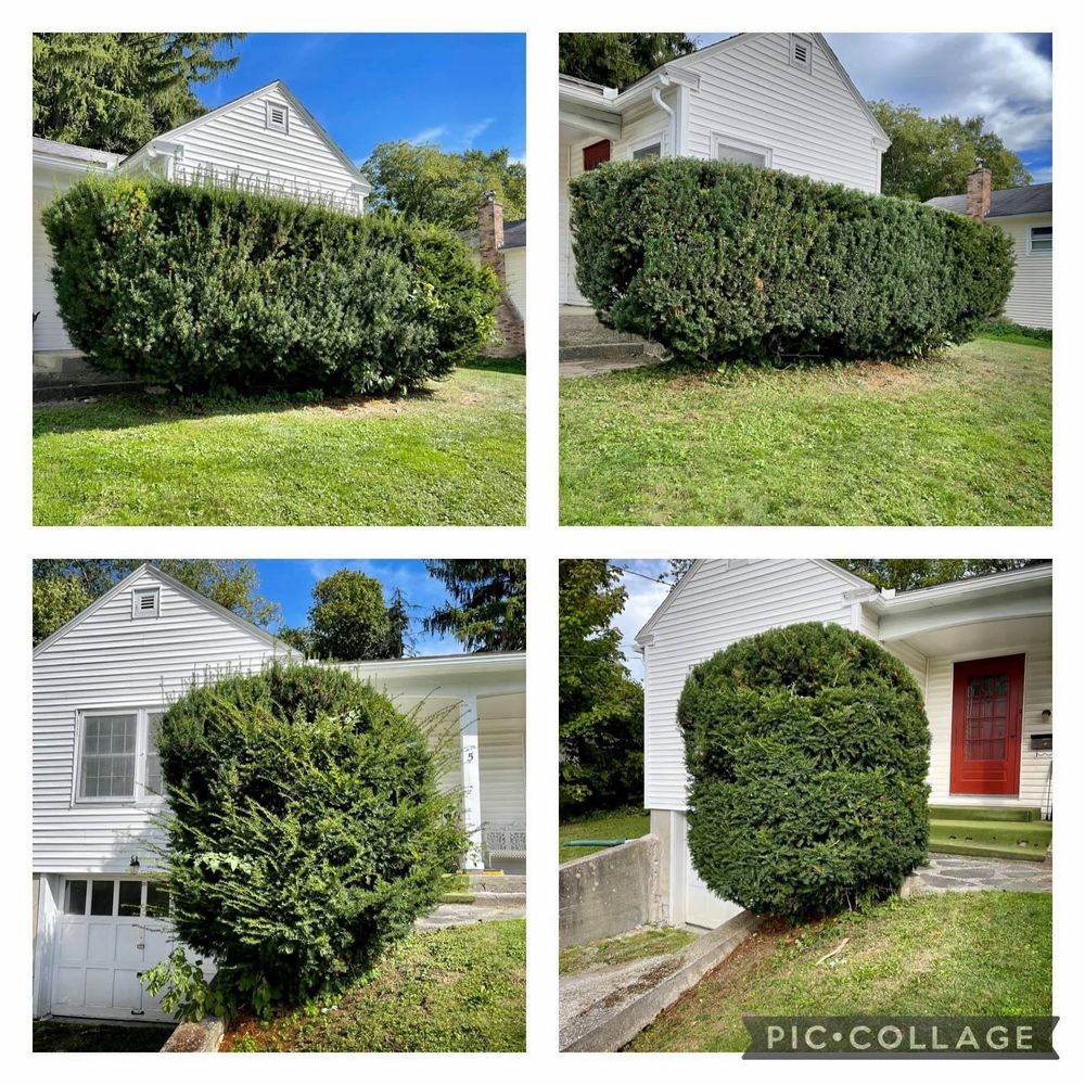 All Photos for Bishop’s Property Maintenance in Franklin, VT