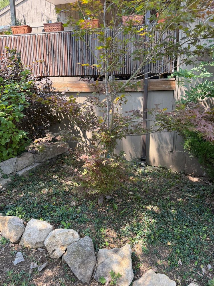 All Photos for SDM Construction LLC in Lawrence, KS