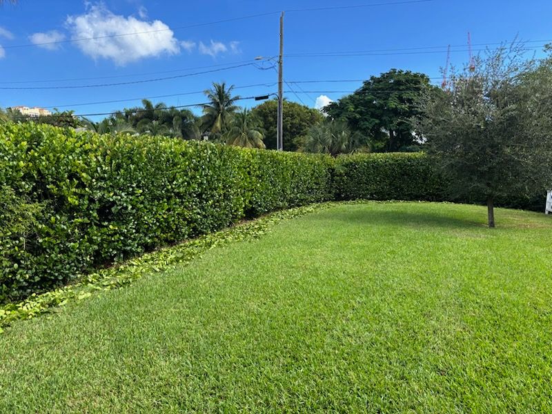 All Photos for Madissons Green in West Palm Beach ,   FL