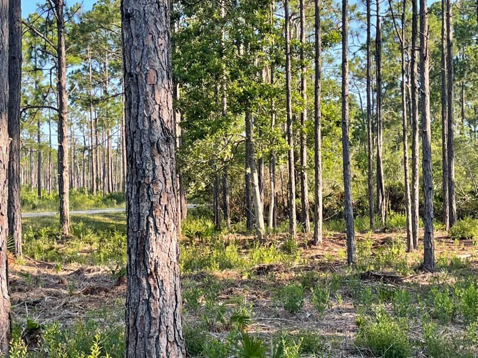 All Photos for B&B Dirt Works LLC in Century, FL