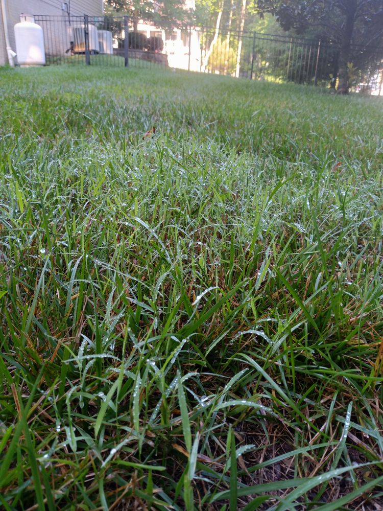 All Photos for Sam I AM Property Solutions in Sunderland, MD