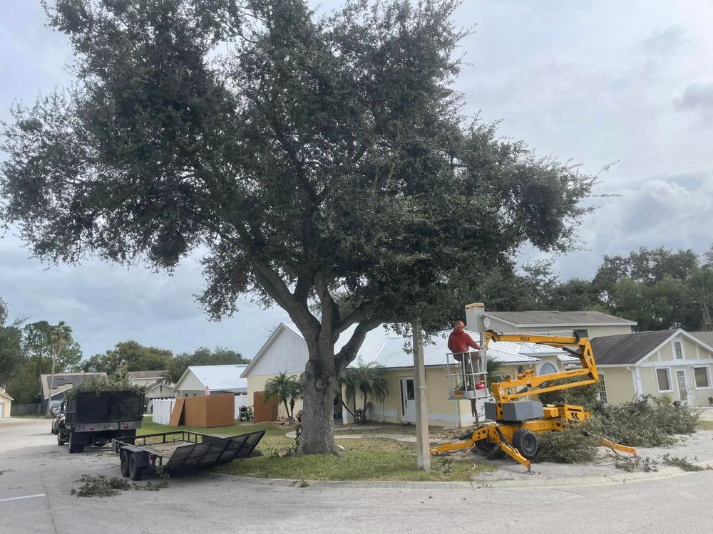 Our Tree Trimming & Removal service ensures your property stays safe, healthy, and aesthetically pleasing by expertly eliminating unwanted or hazardous trees with precision and care. for Heverly Land Solutions  in Winter Haven, FL