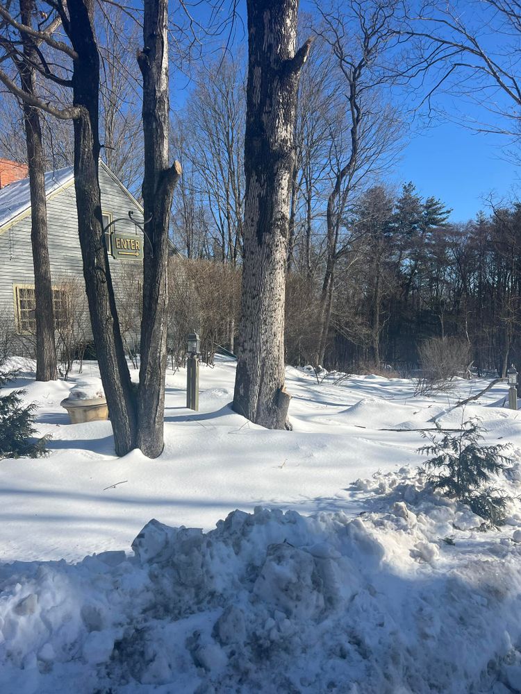 All Photos for Abair Tree Service in Weare, NH