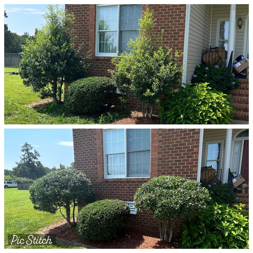 Our professional shrub trimming service ensures your landscaping remains neat and vibrant year-round. Let us expertly shape and prune your shrubs to enhance curb appeal and maintain their overall health. for Absolute Lawn Solutions LLC in Sutherland, VA