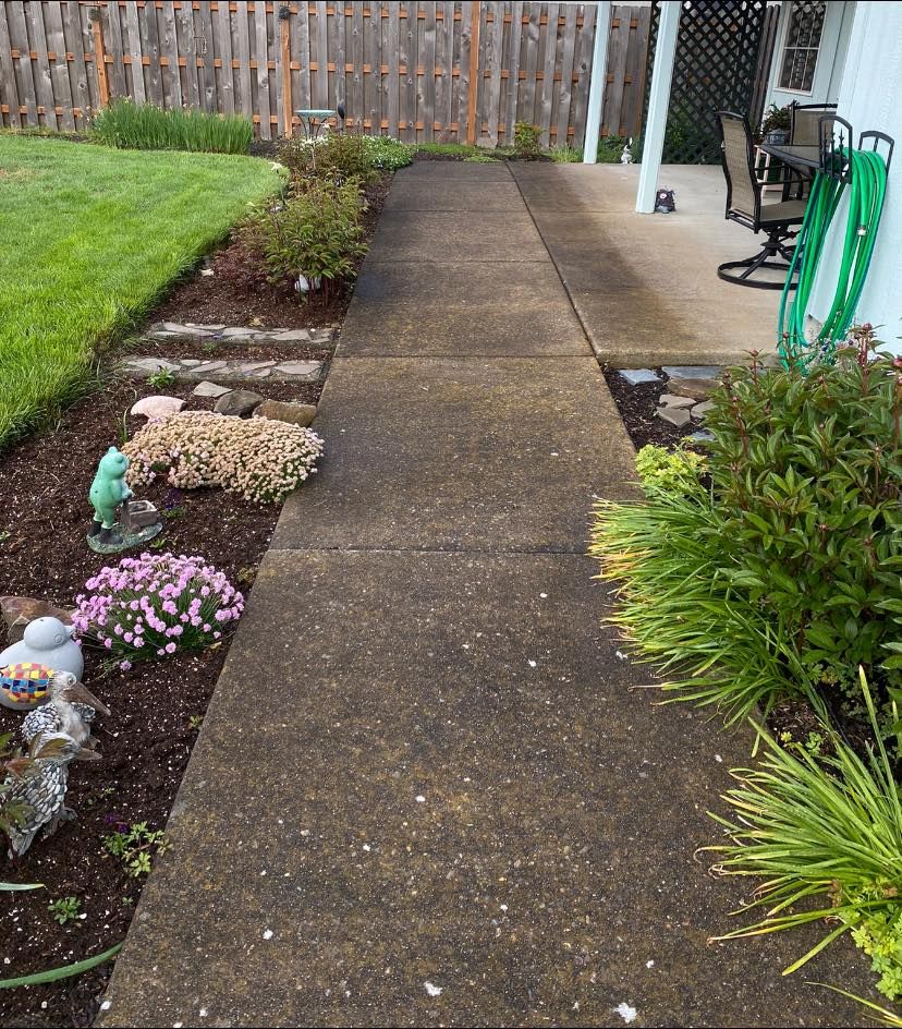 Landscaping for Willamette Landscaping and Tree Services in Albany, OR