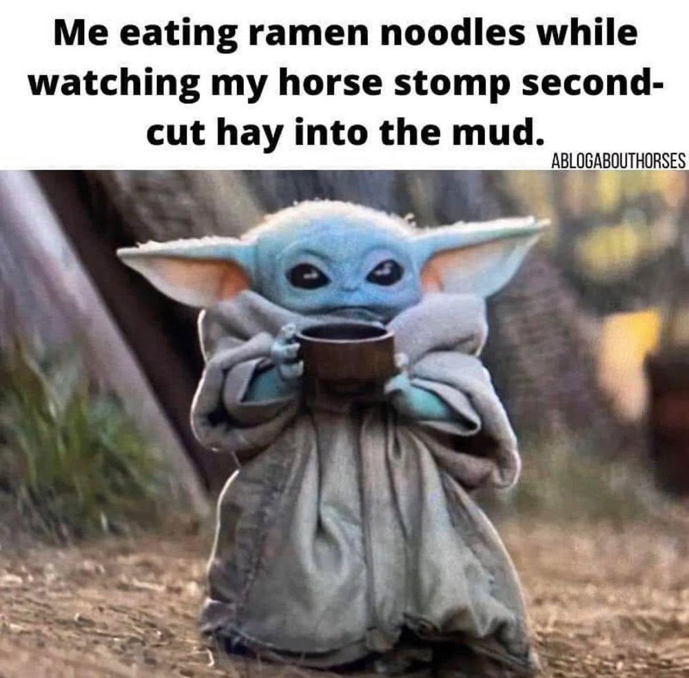 Fencing for Oats Equestrian Fencing LLC in Arlington, WA