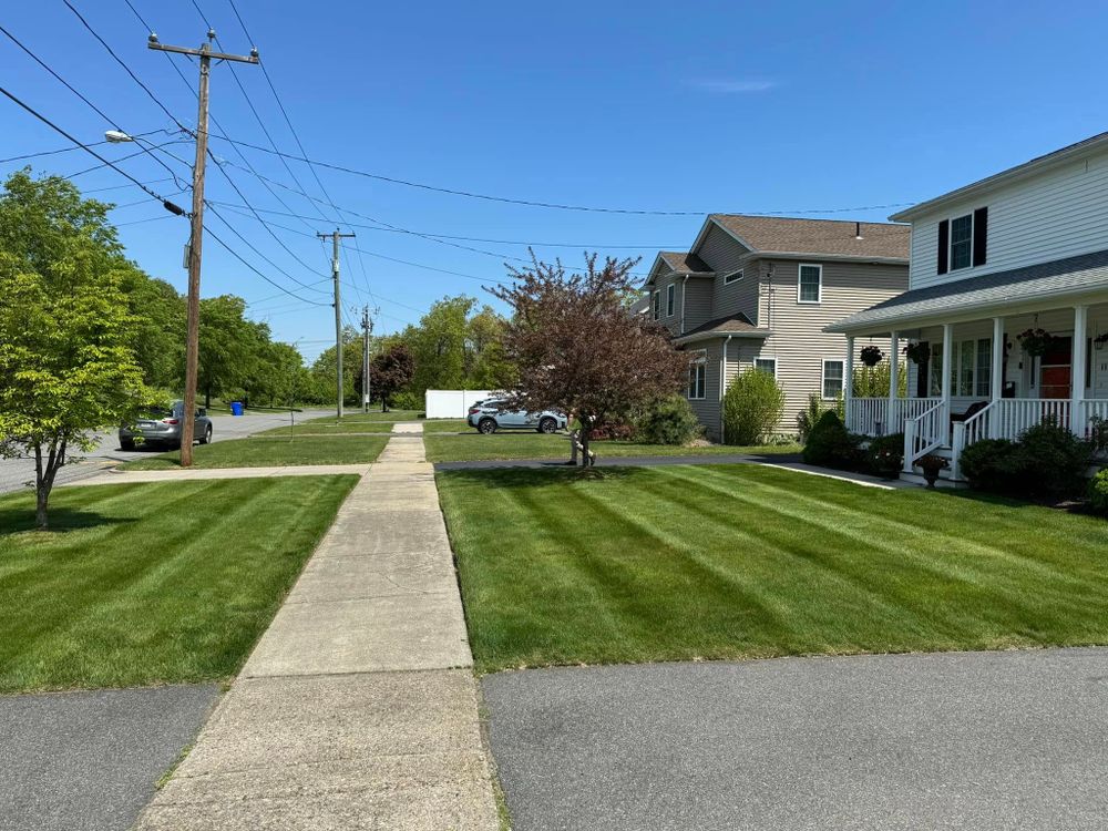 All Photos for Adams Landscaping in Springfield, MA