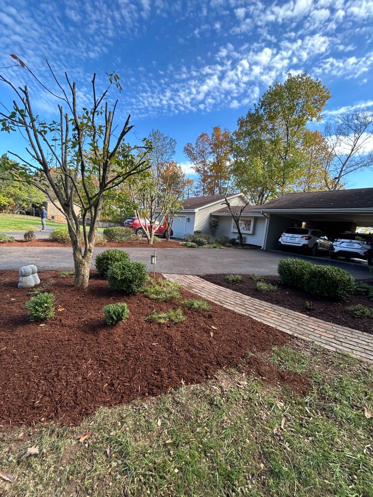 All Photos for Optimum Tree Service And Landscaping in Bowling Green, KY