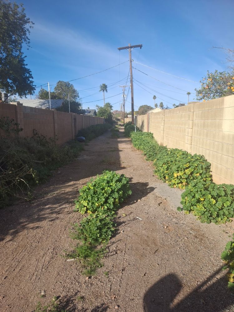All Photos for Family Landscaping in Phoenix, AZ