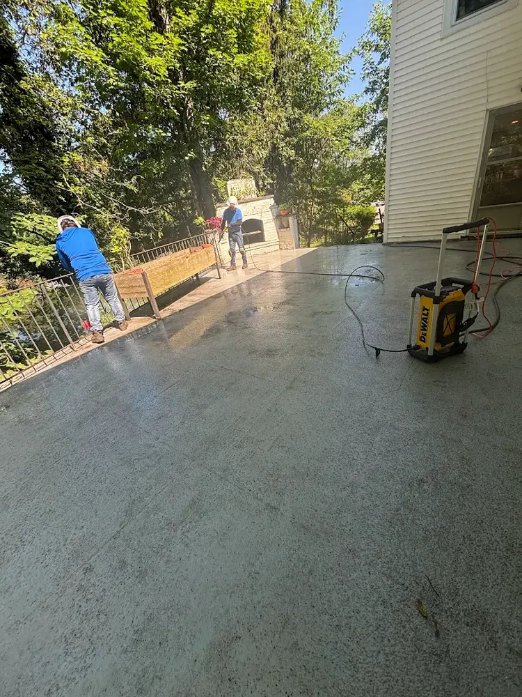 All Photos for Ortiz & Puchi General Cleaning INC. in Brooklyn, NY