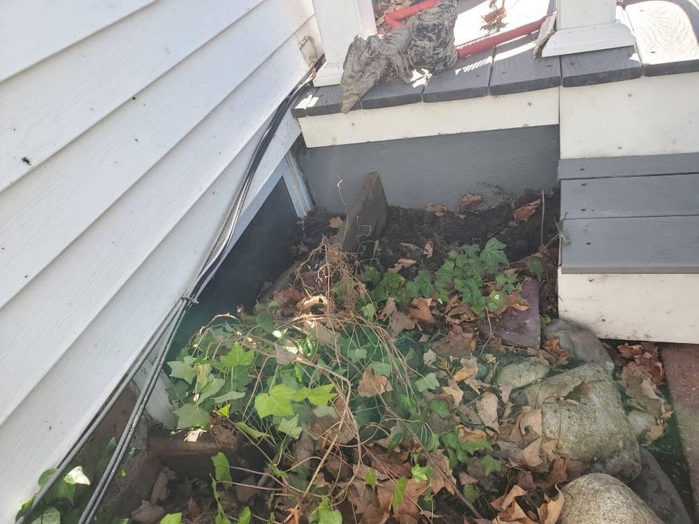 All Photos for James T. Coughlan Restoration in Brockton, MA