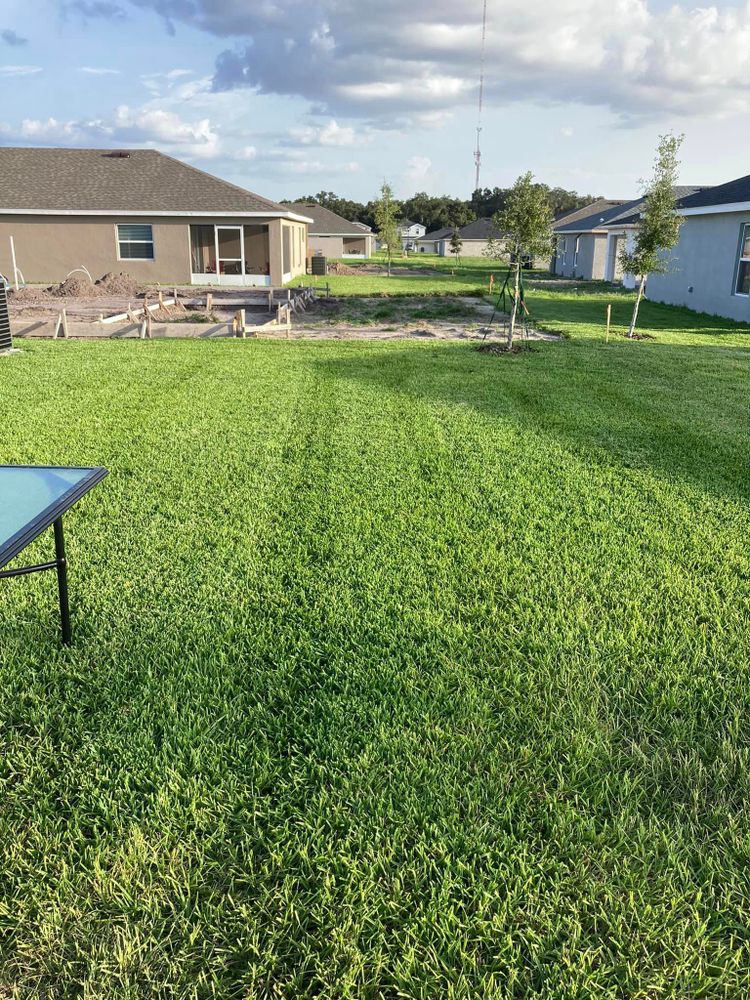 Lawn Care for Estrada All Pro Lawn Service in Auburndale, Florida