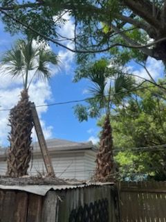 All Photos for Perfect MOs Landscaping in Hudson, FL