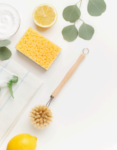 All Photos for OrganiClean in Thomaston, ME