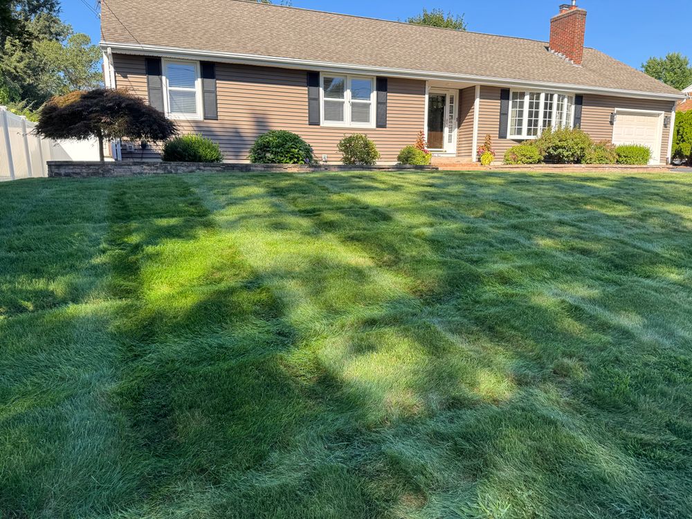 All Photos for Adams Landscaping in Springfield, MA