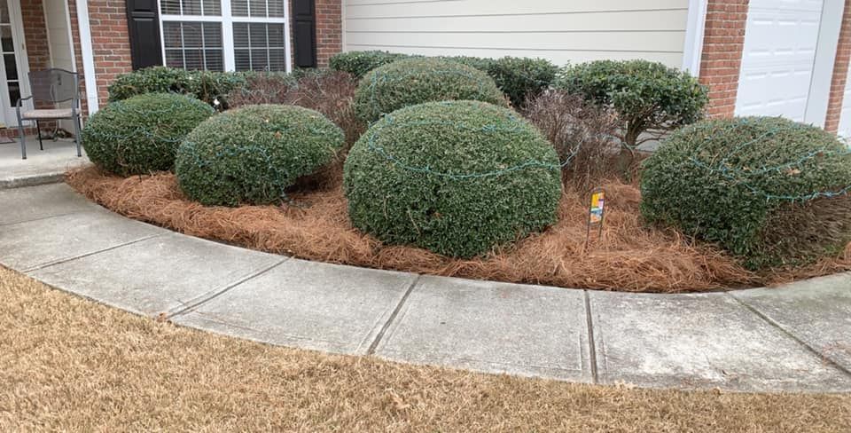 Lawn Maintenance for Adams Landscape Management Group LLC. in Loganville, GA