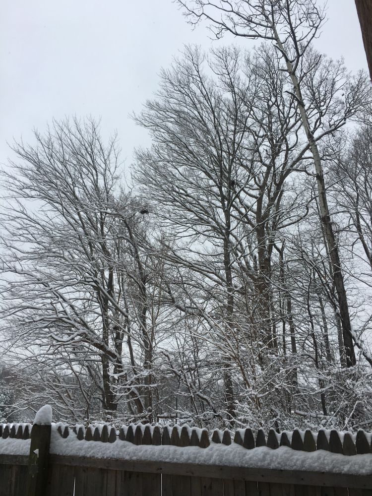 All Photos for R Merkli Inc. in Mount Vernon , VA