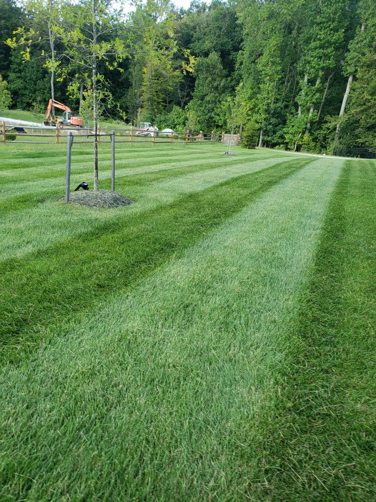 Grass Mowing for Sam I AM Property Solutions in Sunderland, MD