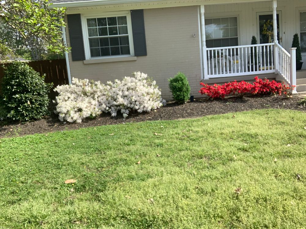 All Photos for Apex Lawn & Landscaping INC in Dyersburg, TN