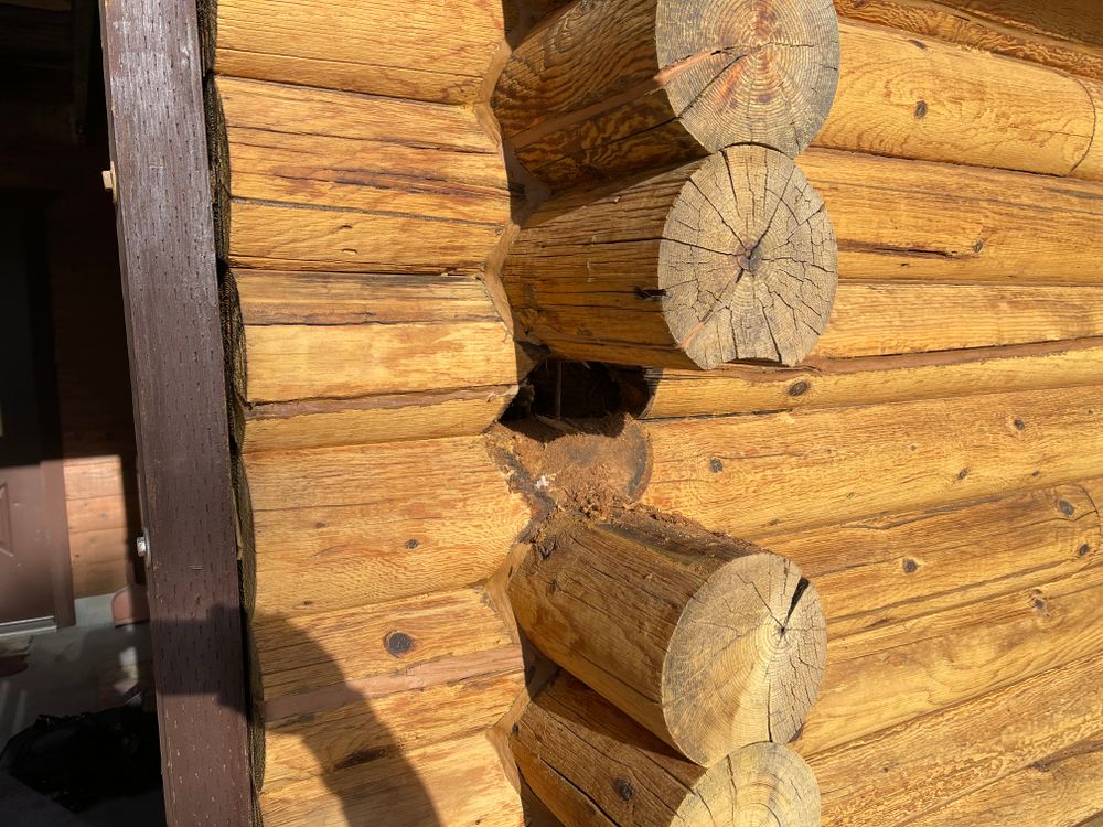 All Photos for Wild West Log home specialists in Corvallis, MT