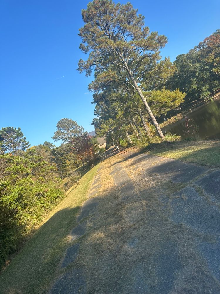 All Photos for J.P Landscaping and excavation in Chattanooga, TN