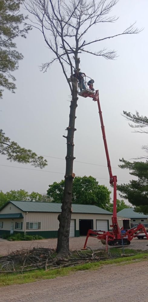 All Photos for Lawn Ranger Yard And Tree Service LLC in Ottumwa, IA