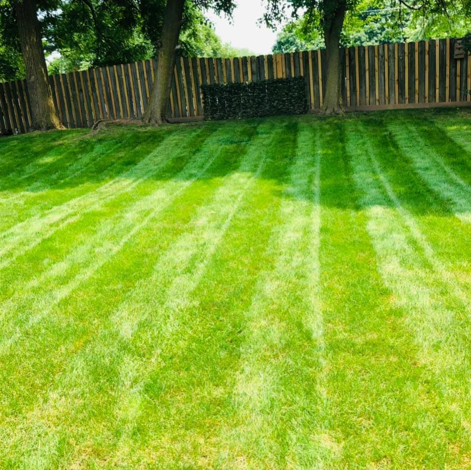 Landscaping for Manny's Cleaning,Lawn Care & Snow Removal Services in Champaign, IL