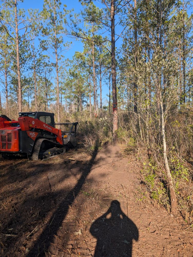 TDWS Land Management team in Blackshear, GA - people or person