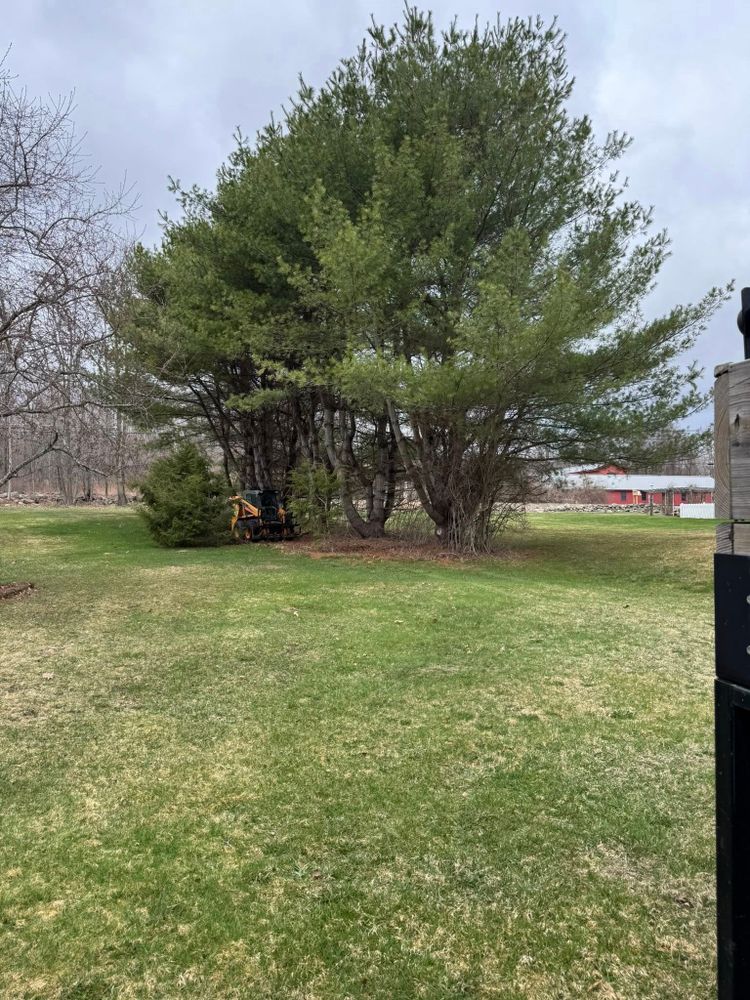 Tree Removal for Redemption Tree & Landscape LLC  in Oakham, MA