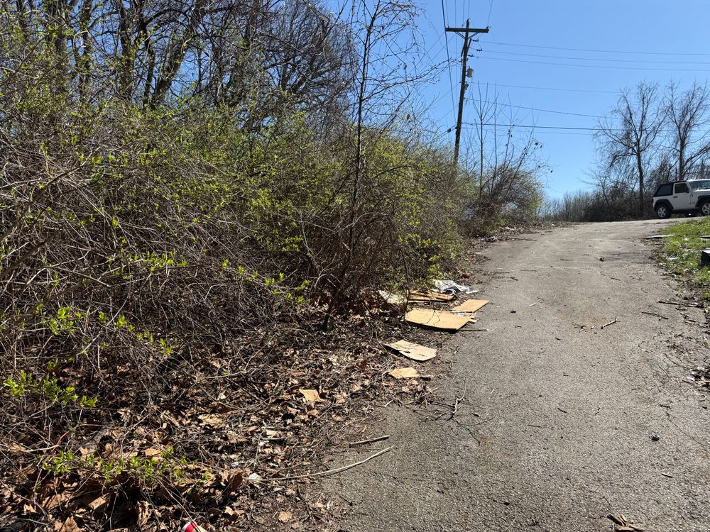 All Photos for A1 Bush Hogging & Lawn Service in London, OH