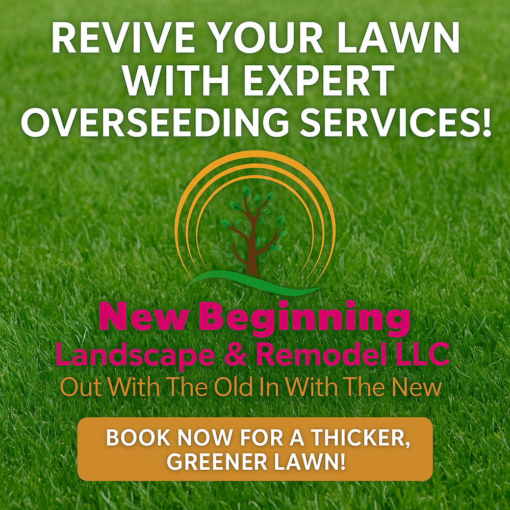 Our Overseeding Services enhance lawn health and density, effectively filling sparse areas. Complementing other lawn services, overseeding ensures a lush, green landscape that elevates your home's curb appeal year-round. for New Beginning Landscape & Remodel LLC in Atlanta, GA