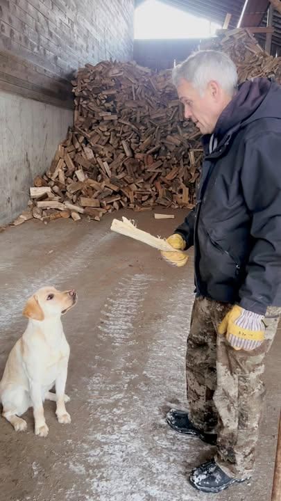 All Photos for Andy Naylor Excavation in Johnson, VT