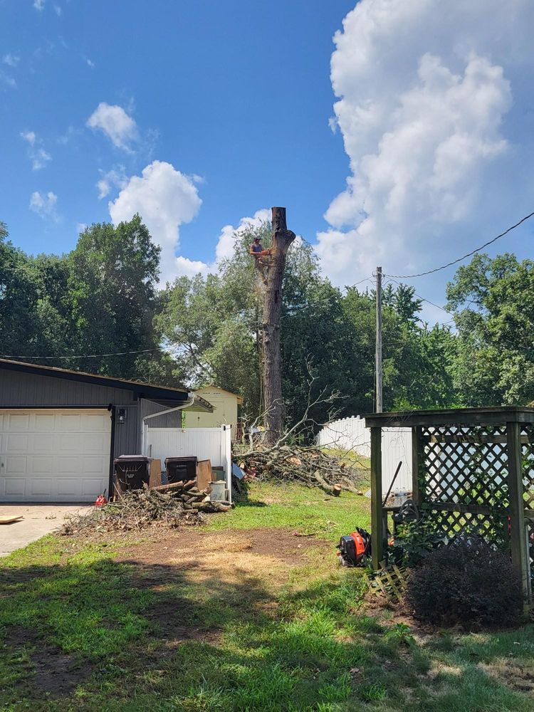 All Photos for Highborn Tree Service in Wheatfield, IN