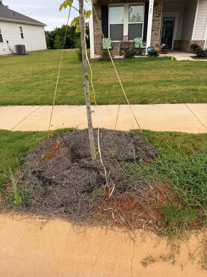 All Photos for Down South Tree Care and Landscaping in Maiden, NC