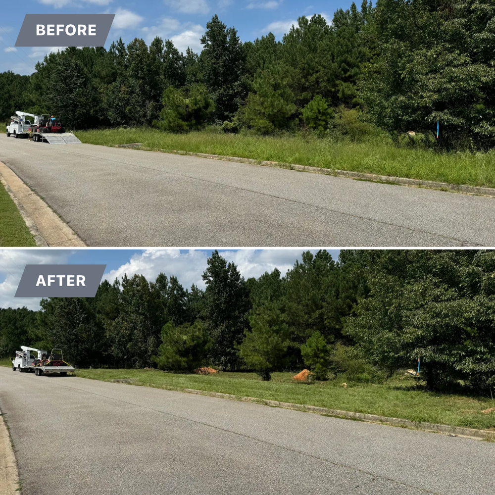 Brush Cutting and Removal for Fayette Property Solutions in Fayetteville, GA