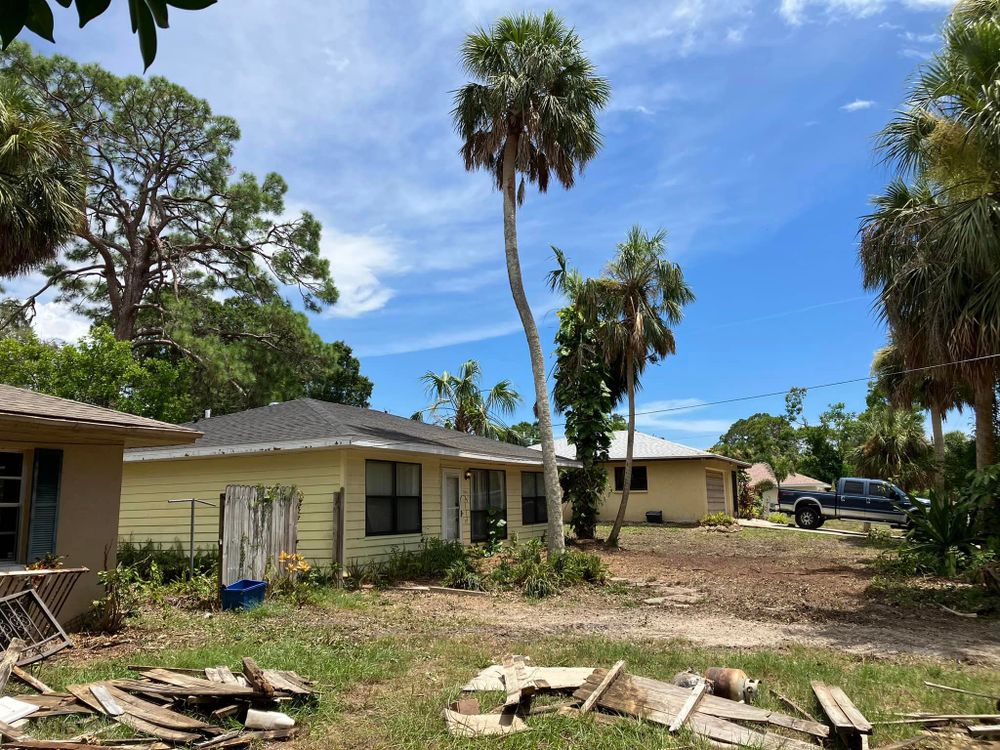 Tree Removal for Lemon Bay Tree Service  in Englewood, FL