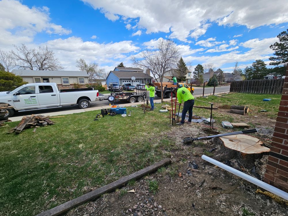 All Photos for NGL Landscape Company in Denver, CO
