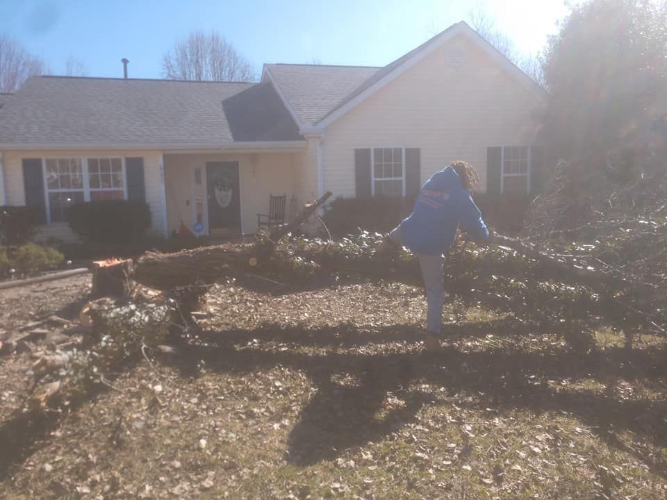 Tree Removal for Top Notch Lawn Care and Tree Removal in Mebane, NC