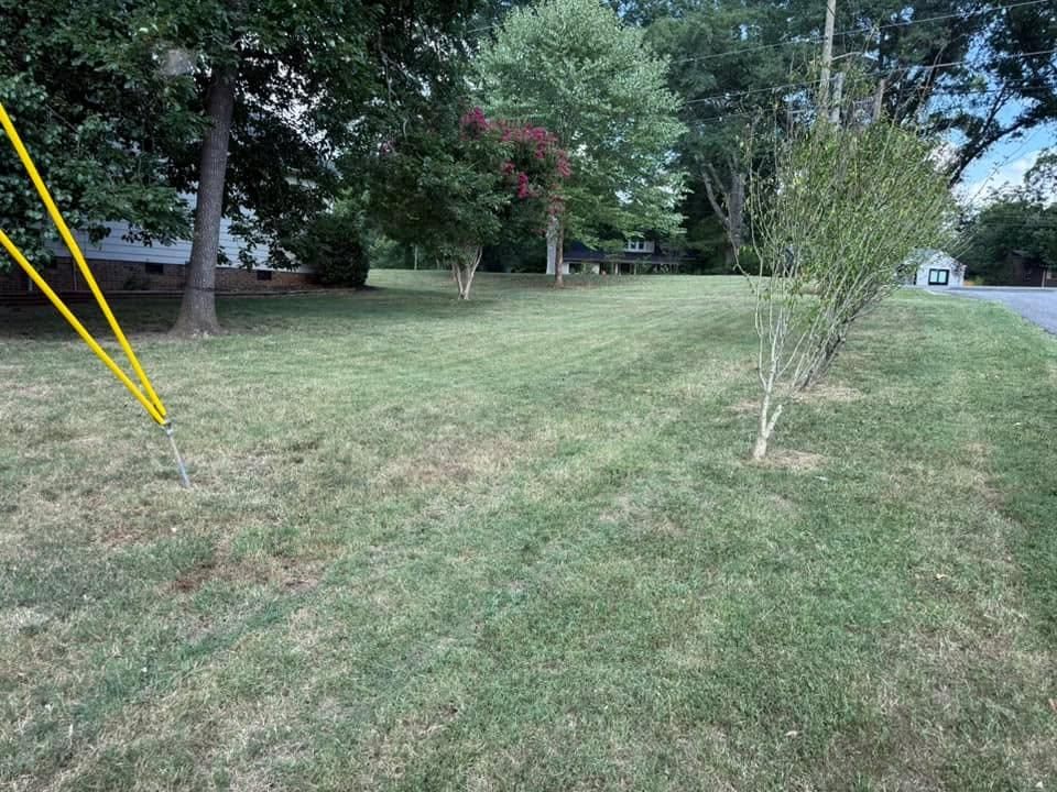 All Photos for America's Top Pick Lawn & Landscaping in Gastonia, NC