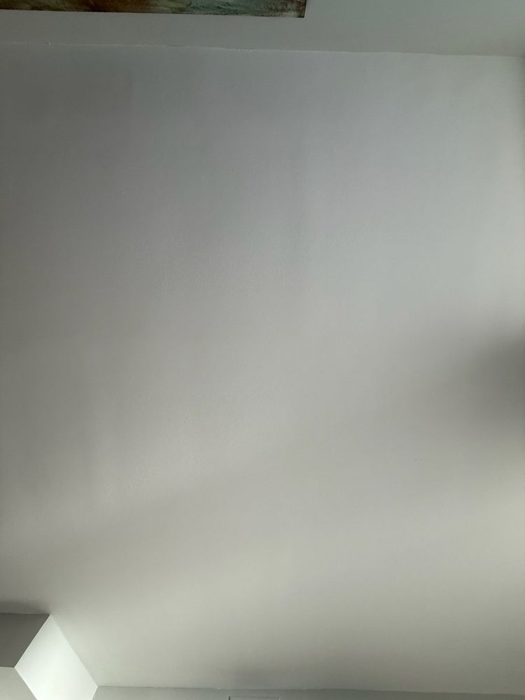 All Photos for Costa Esmeralda Painting in Fort Walton, FL